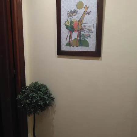 Appartamento Apartamento Junto Ayuntamiento Y Catedral Con Wifi
